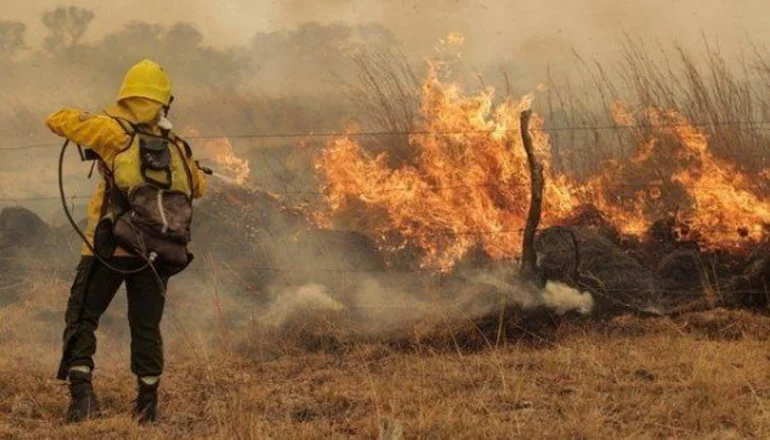 REALIZARÁN CAPACITACIONES PARA COMBATIR LOS INCENDIOS FORESTALES: CÓMO INSCRIBIRSE