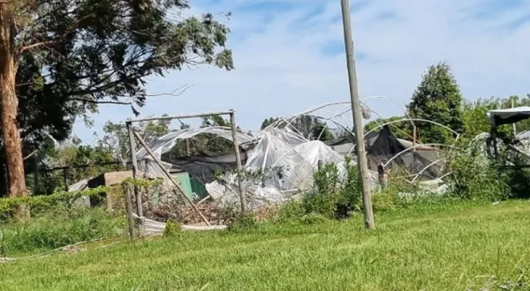 BELLA VISTA: CRÍTICA SITUACIÓN DEL CAMPO QUE SIGUE SIN LUZ NI AGUA