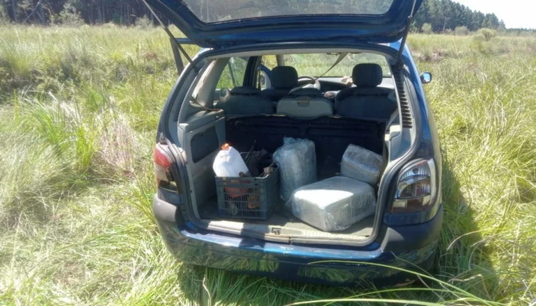 TRAS UNA BALACERA, INCAUTAN 83 KILOS DE MARIHUANA VALUADOS EN UNA CIFRA MILLONARIA