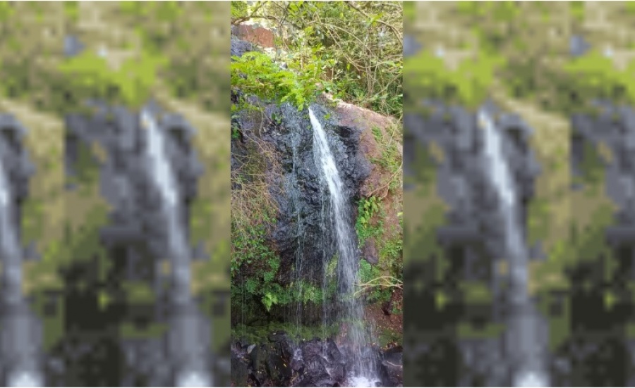 INVESTIGAN LA MUERTE DE UN HOMBRE HALLADO EN UNA CASCADA EN IGUAZÚ